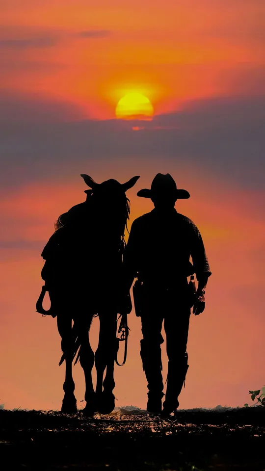 Cowboy al tramonto